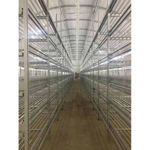 China Customized Agricultural Equipment Plastic Film Cover Mushroom Green House wholesale