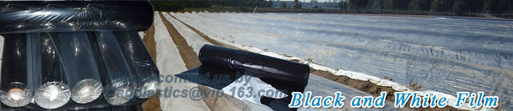 HOTICULTURAL MULCH FILM,AGRICULTURAL PE FILM,MARKET GARDENERS CLOCHE FILM,PE FILM FOR CORN,PLASTIC FILM COVER,TOMATO COV