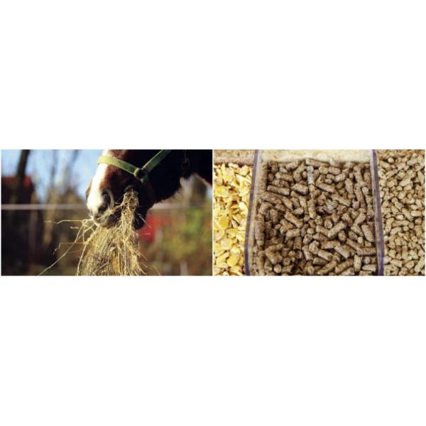feed pellet machine Poultry Feed Making Machine Animal Feed Pellet Mill
