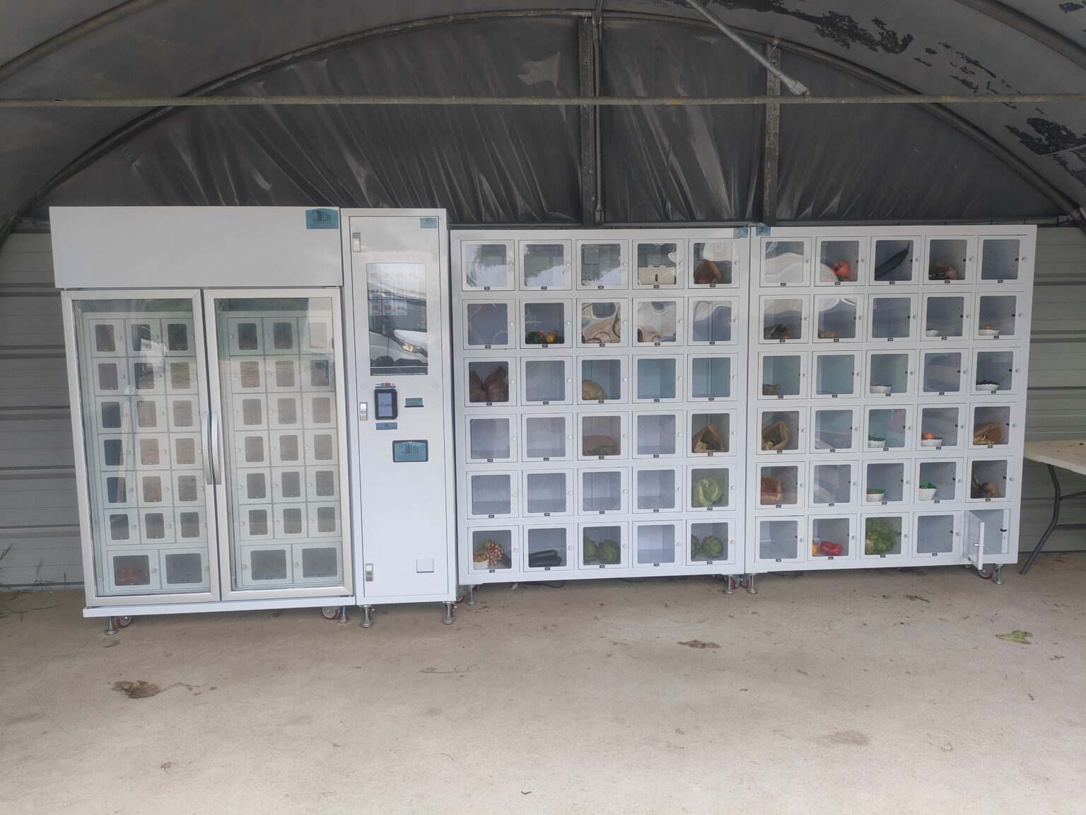 Customizable Lockers Smart Cooling Freezing Systems for Fresh Frozen Farm Products Vending Machine