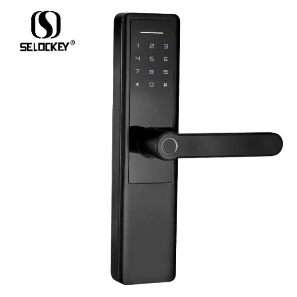 Quality Alarm Tuya Zigbee Card Key Fingerprint Door Locks for sale