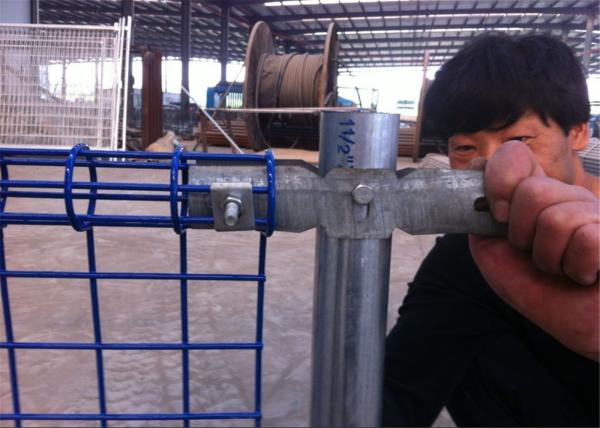 Quality Low price ornamental double loop wire fence for sale