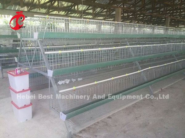 China Factory Battery Layer Cage 5 tier With Poultry Equipment For Africa Market Sandy