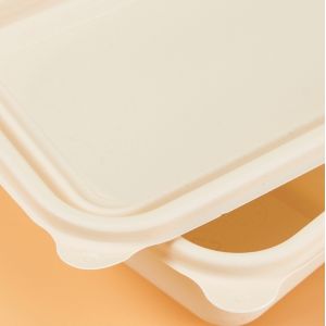 Degradable 3 Compartment Biodegradable Food Boxes Take Out Lightweight
