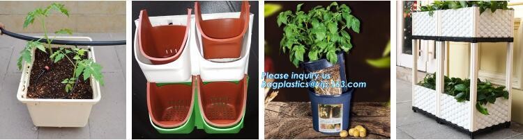 HOTICULTURAL MULCH FILM,AGRICULTURAL PE FILM,MARKET GARDENERS CLOCHE FILM,PE FILM FOR CORN,PLASTIC FILM COVER,TOMATO COV