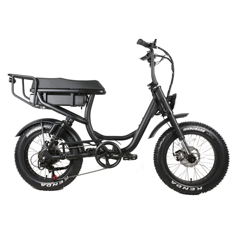 20inch Tire Electric Dirt Bike 1000w with Up Tube Battery Position and LCD Display