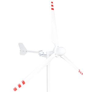 1000W 5000W Horizontal Axis Wind Turbine Generator 24V 48V 220V Horizontal Wind Generator