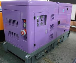 China Silent 30kva Natural Gas Powered Generator , 25kw Biogas Generator on sale