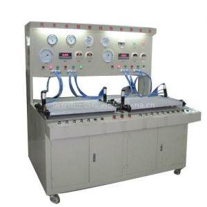 Quality 220AV Radiator Leak Tester Pressure Unit Bar/PSI/KPA Leak Tester With Time Setting 0-999 Second for sale