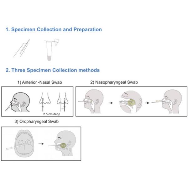 Covid 19 Antigen Swab Test Kit Colloidal Gold 25Tests/Kit CE Test Rtk Ag Swab Test