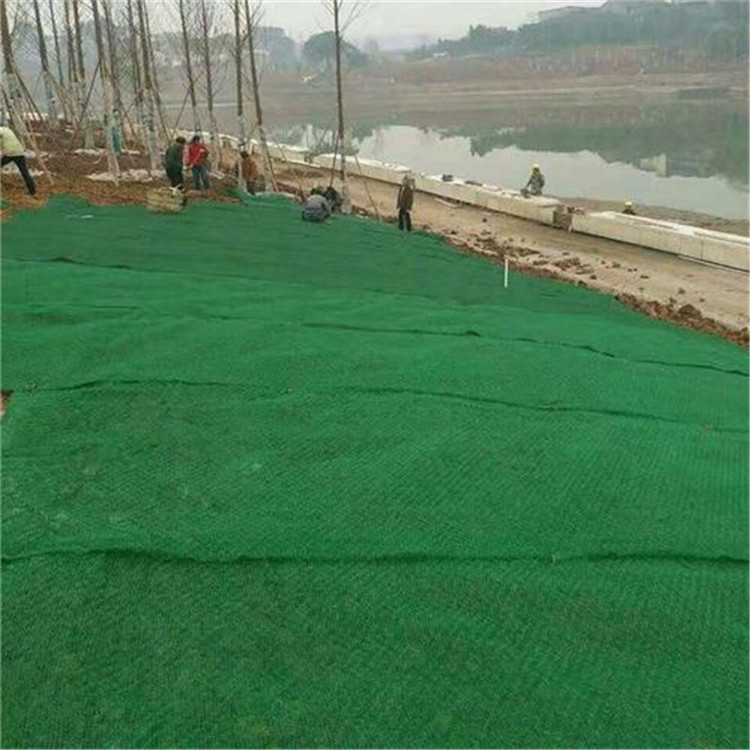 Modern Design 3D Geomat The Best Choice for Slope Protection and Grass Seed Growth