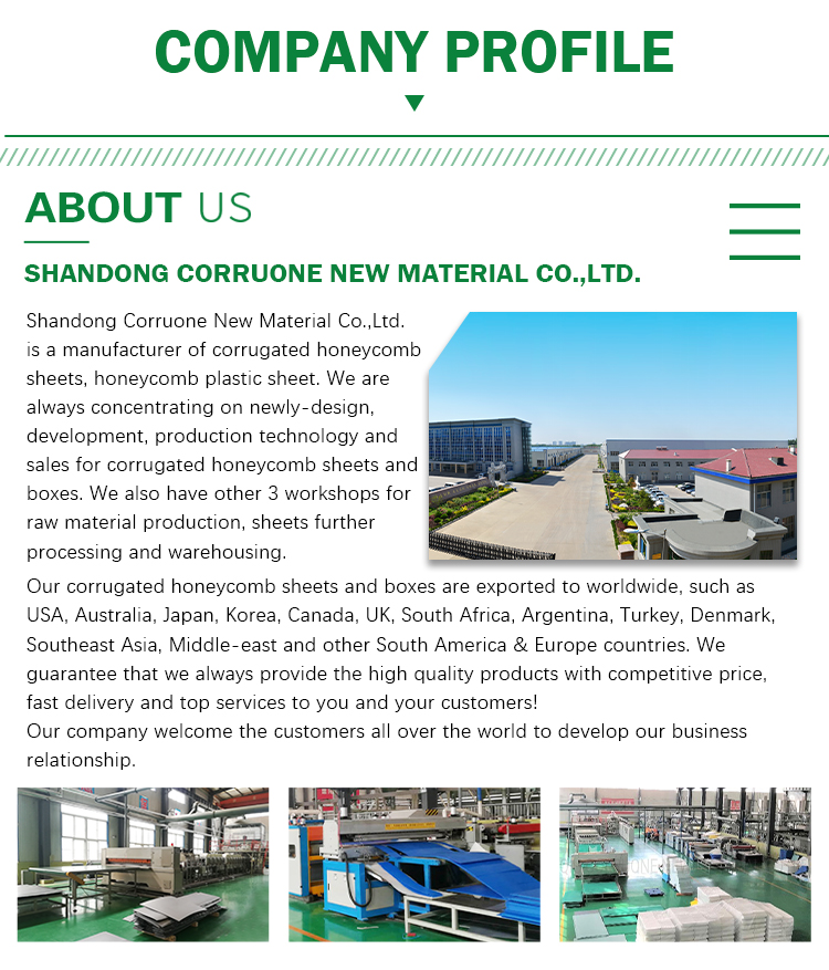 Construction PP Honeycomb Sandwich Panel 12mm Honeycomb PP Sheet