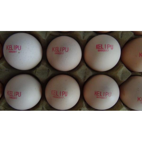 12V 4A Eggs Continuous Inkjet Printer , High Speed Inkjet Date Code Printer
