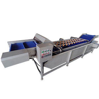4.8KW Vegetable and Fruit Washing Machine with 1000KG/H Capacity