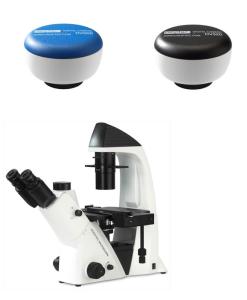 BDS400 Digital Infinity Inverted Biological Microscope CMOS 3MP 5MP