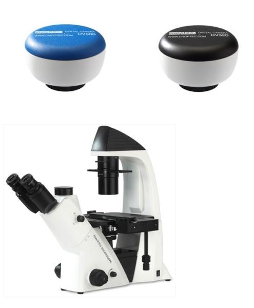 Quality BDS400 Digital Infinity Inverted Biological Microscope CMOS 3MP 5MP for sale