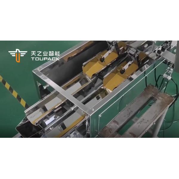 Toupack Small Weight Linear Weigher Ss 304 Ty-X1m2l05 For Grains