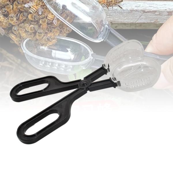 Bee Keeping Tools , Scissors Plastic Queen Cage , Prevent The Queen Bee From Escaping