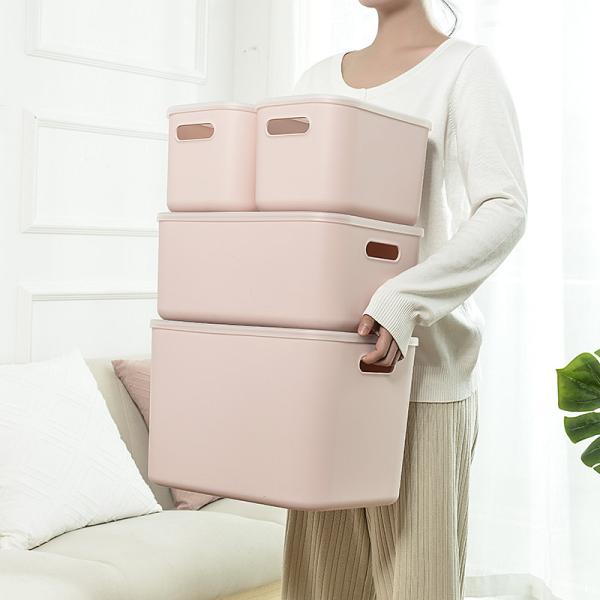 Quality Injection Plastic Storage Organizer Pink Plastic Storage Boxes With Lids for sale