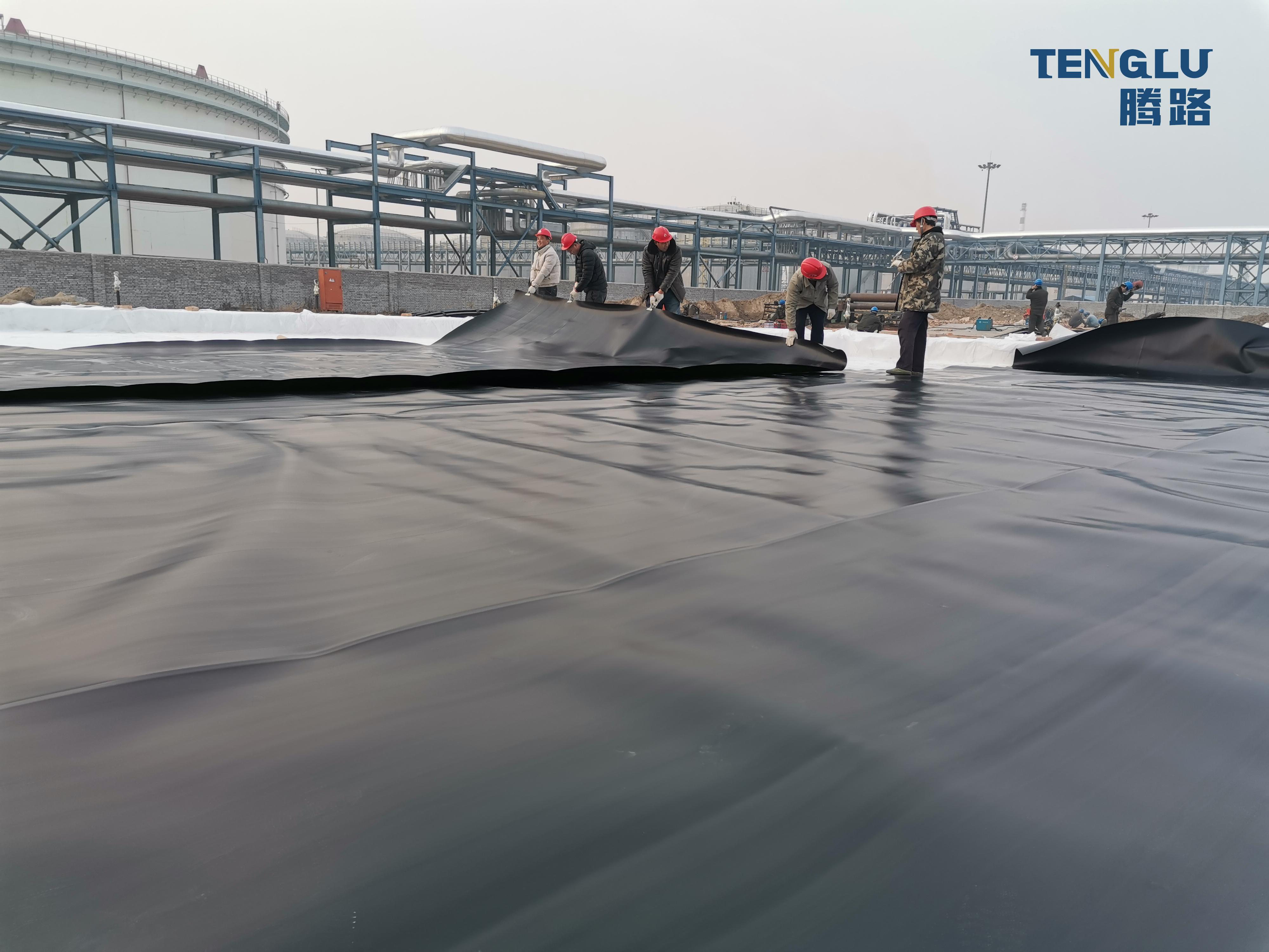 Hdpe Geomembrane Liner for Environmental Projects and After-sale Service Guaranteed