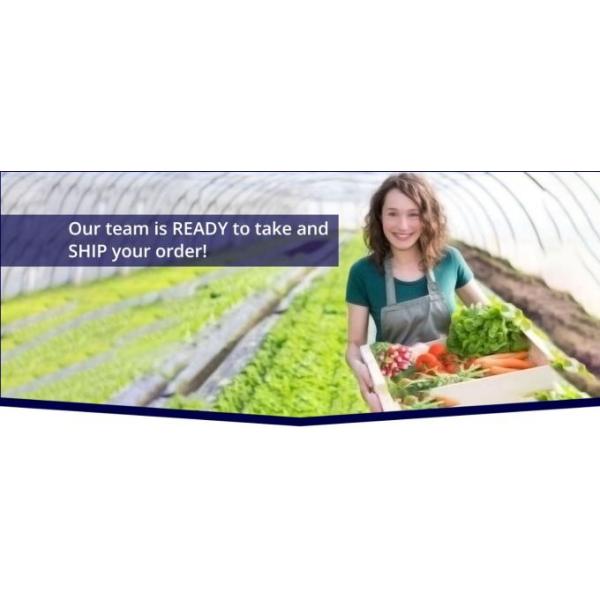 Greenhouse, Agricultural Polyethylene Film, Mulch Films, Horticultural Products, Perforated Wrap, Tomato, Flowers