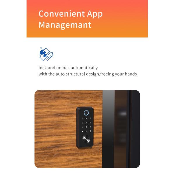Sensor Smart Card Intelligent Lock Password Keyless Fingerprint
