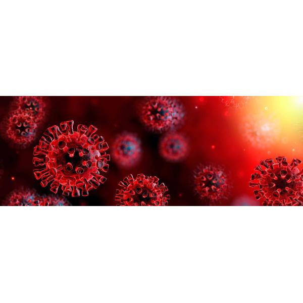 FDA Venipuncture IgG IgM Rapid Coronavirus Test Kit