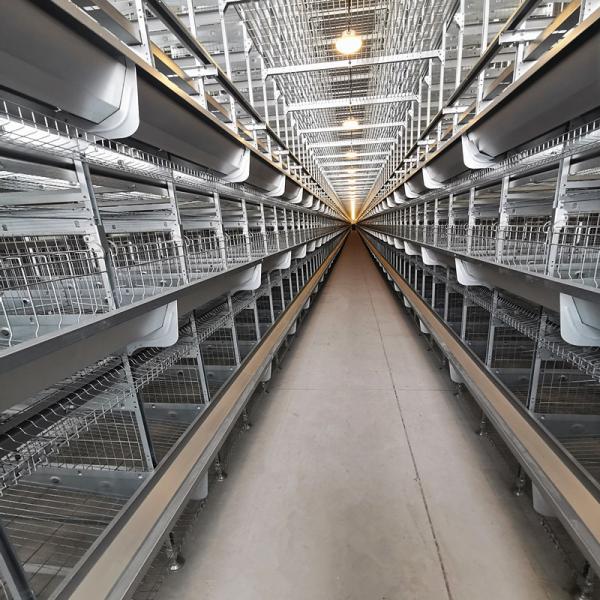 Quality Q235 Standard Steel Layer Chicken Cage Hot Dipped Galvanized for sale