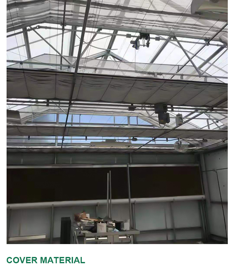 Length 30-100m Hoop House Light Deprivation Greenhouses for Mushroom Large