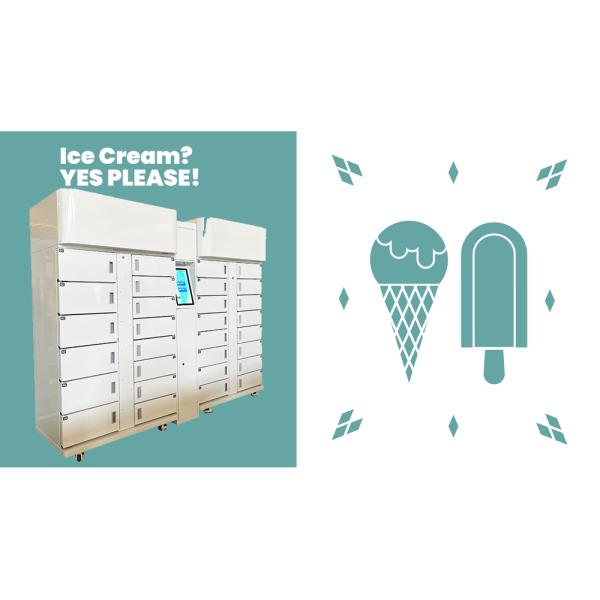 Winnsen LCD Screen Smart Ice Cream Frozen Refrigerated Locker With Wifi