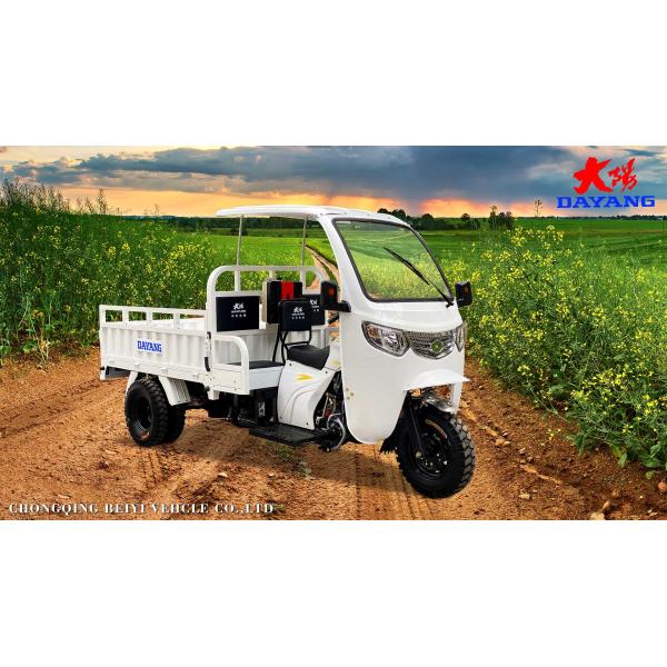 Standard Size 3 Wheel Gasoline 200cc/250cc/300cc Motorcycle Engine Cabin Cargo Tricycle