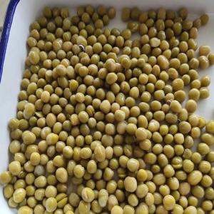 China BRC No Additives Salty Flavor 400g Canned Green Peas wholesale