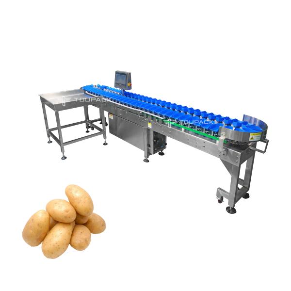 Quality Stainless Steel Tomato Garlic Onion Sorting Machine Potato Grading Size Grader Machine Vegetable Weight Sorting Maine for sale