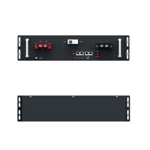 Rack Mount Solar Battery 5Kwh 51.2V 100Ah Lithium Ion Server Rack Battery LiFePO4