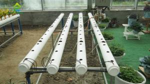 ECO Friendly Auto Soilless Hydroponic System For Leafy Vegetables