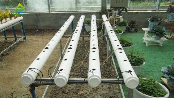 Quality ECO Friendly Auto Soilless Hydroponic System For Leafy Vegetables for sale