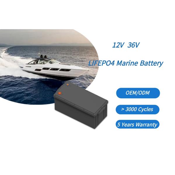 36V 65AH Lithium Marine Batteries Waterproof Lithium Batteries for Boats