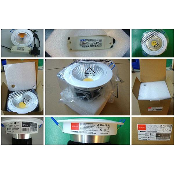White/black/silver housing Meanwell Dali dimmable driver 6-50W led downlight/ceiling light