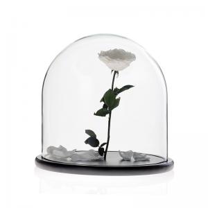 D30 x H30cm Handmade Large Glass Display Box Dome Cloche With Wood Base