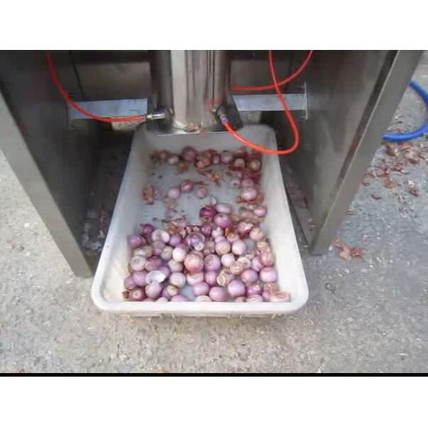 small onion peeling machine