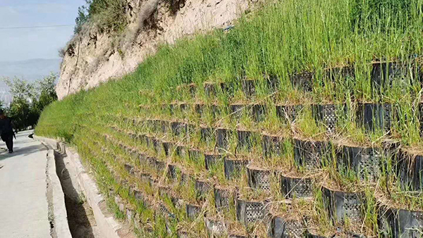 Steep Slope Protection Reinforcement Geocell for Parking Lot Soil Water Conservation