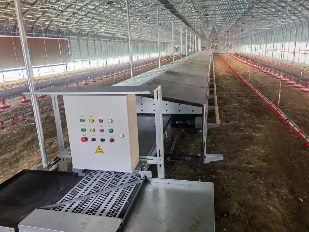 Poultry Automatic Egg Nesting Box Anti Rust High Hen Laying Rate For Chicken Farms