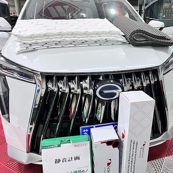 Trumpchi Heat Insulation Pad Custom Tailored Acoustic Buffering Solution