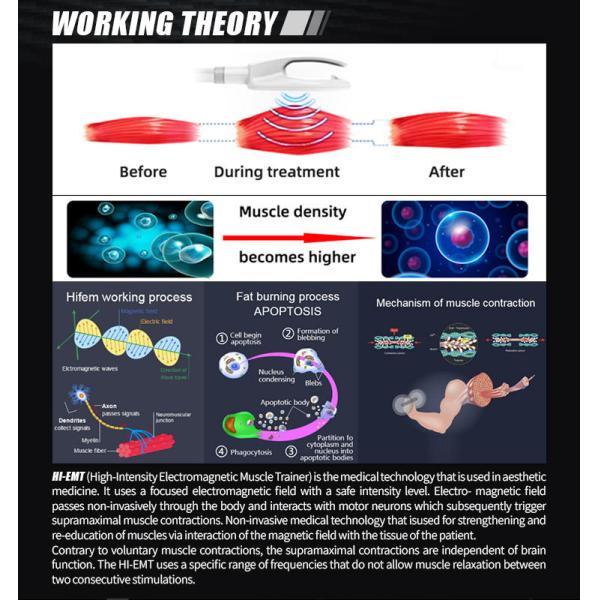 EMS Vacuum Cavitation Slimming Non Invasive Body Sculpting Machine