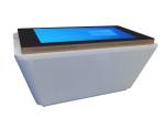 55 Inch Windows LCD Touch Screen Monitor Display Game Table, Golden Object