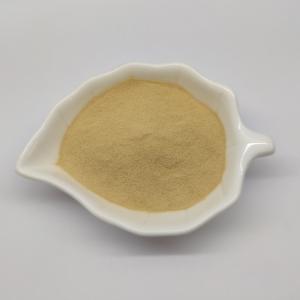 Hydrolyzed Yeast Used for Animal Feed Production Poultry Protein Supplement