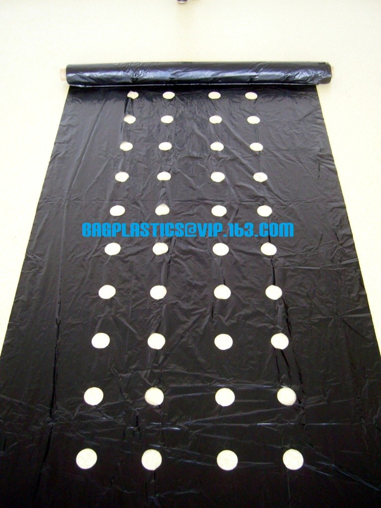 HOTICULTURAL MULCH FILM,AGRICULTURAL PE FILM,MARKET GARDENERS CLOCHE FILM,PE FILM FOR CORN,PLASTIC FILM COVER,TOMATO COV