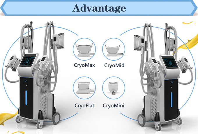 2500w big power standing cryolipolysis with 4 different size handles for whole body and double chin treatment