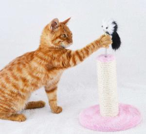China Durable Flat Cardboard Cat Scratcher , Reversible Cardboard Scratching Pad SGS wholesale