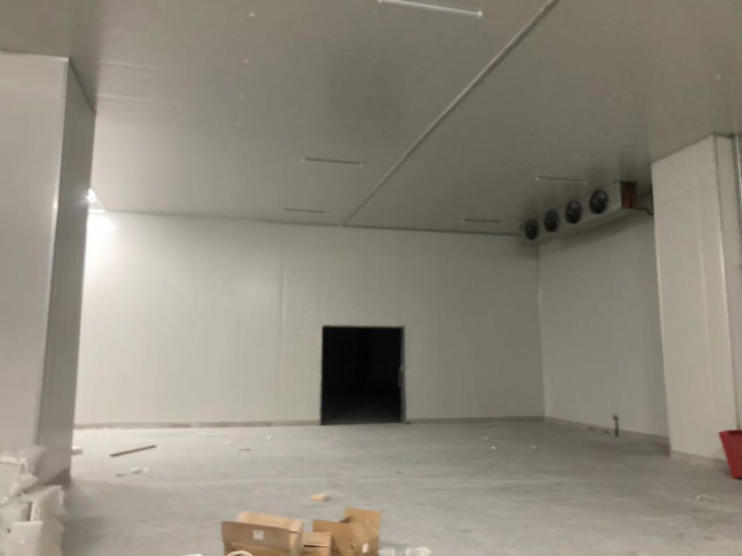 China Manufacturer Cold Storage Chiller/Cooler/Freezer Room with Condensing Unit Compressor